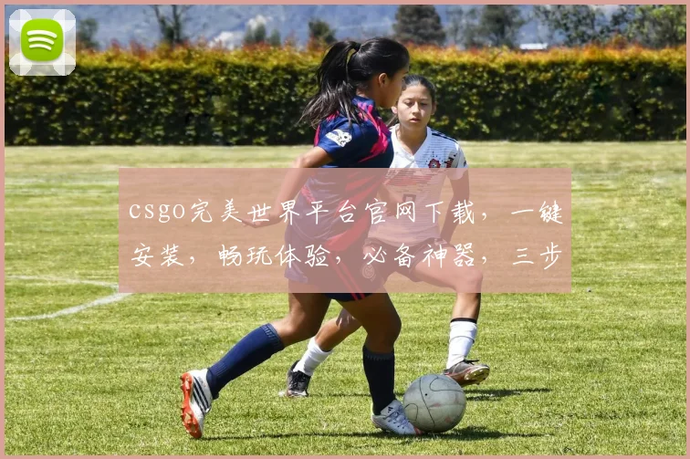 csgo完美世界平台官网下载，一键安装，畅玩体验，必备神器，三步轻松完成