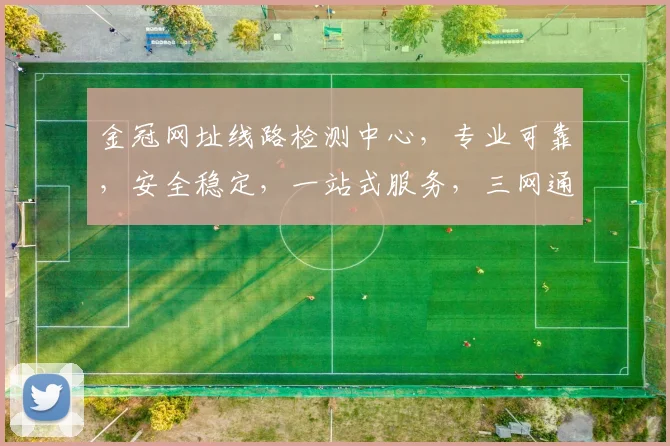 金冠网址线路检测中心，专业可靠，安全稳定，一站式服务，三网通，快速检测，保障无忧。