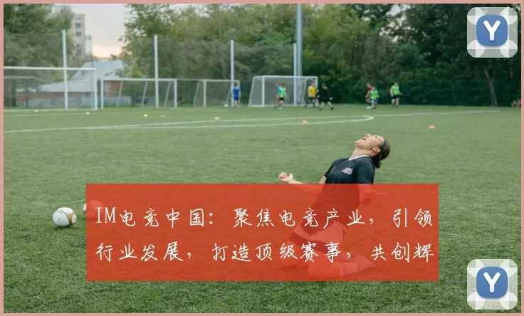 IM电竞中国：聚焦电竞产业，引领行业发展，打造顶级赛事，共创辉煌未来，三足鼎立，共铸辉煌